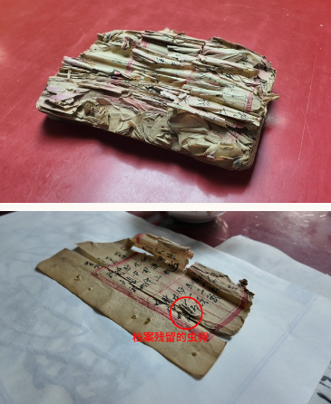 1765956052844183.png image.png